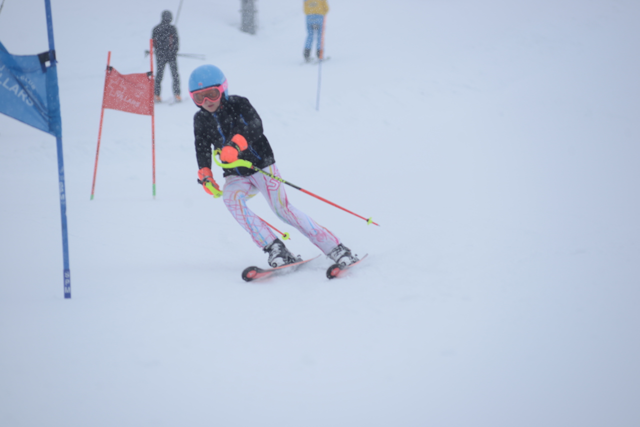 A skier passing between slalom gates during race training